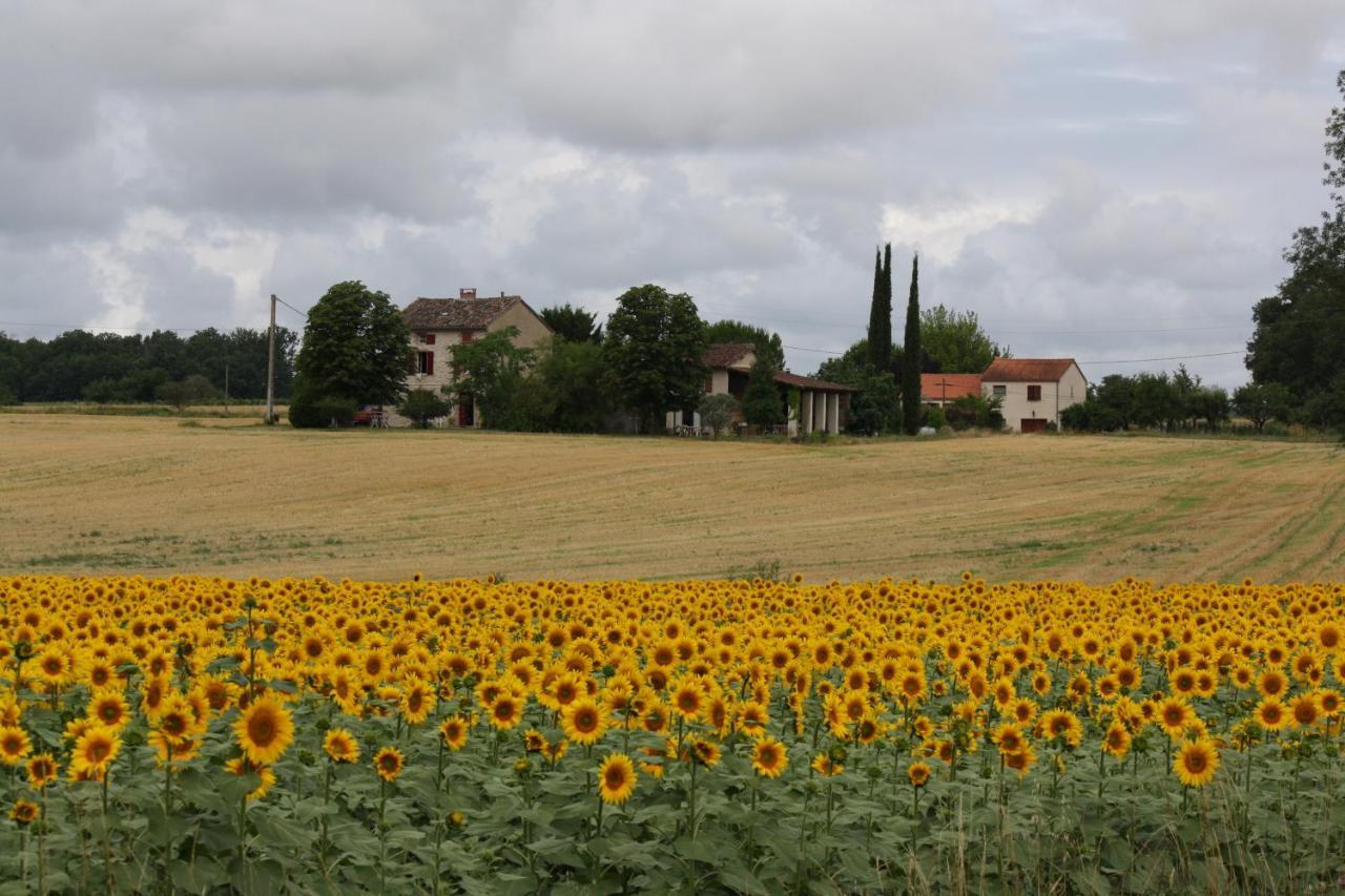 Domaine 3 Soleils Bed & Breakfast Labastide-de-Lévis Eksteriør bilde